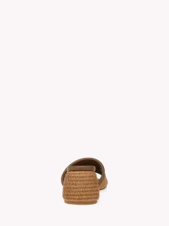 Mules-Gianvito Rossi AMAMI 60 BROWN