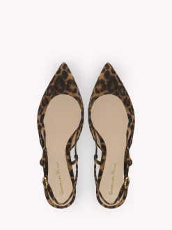 Flats-Gianvito Rossi ASCENT 05 LEOPARD PRINT