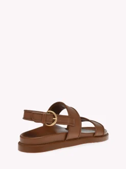 Casual-Gianvito Rossi BILBAO BROWN