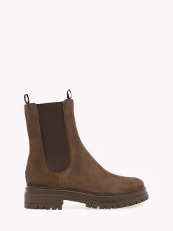 Booties-Gianvito Rossi CHESTER BROWN