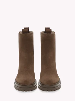 Booties-Gianvito Rossi CHESTER BROWN