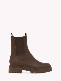 Booties-Gianvito Rossi CHESTER BROWN