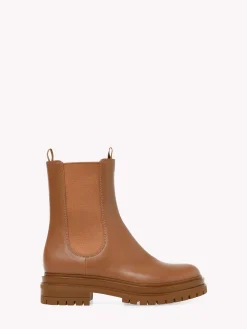 Booties-Gianvito Rossi CHESTER BROWN
