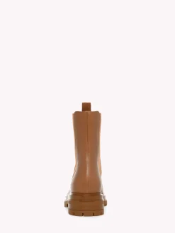 Booties-Gianvito Rossi CHESTER BROWN