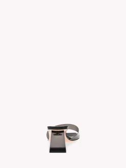 Mules|Plexi-Gianvito Rossi COSMIC BLACK
