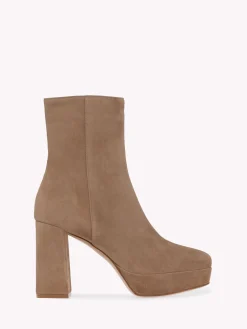 Booties-Gianvito Rossi DAISEN BROWN
