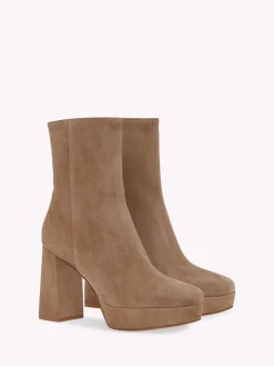 Booties-Gianvito Rossi DAISEN BROWN