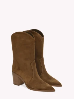 Booties-Gianvito Rossi DENVER BROWN