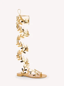 Flats-Gianvito Rossi FLAVIA GLADIATOR GOLD