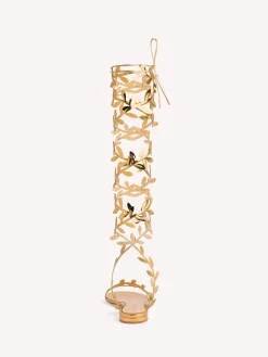 Flats-Gianvito Rossi FLAVIA GLADIATOR GOLD