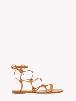 Flats-Gianvito Rossi GIZA 05 BROWN