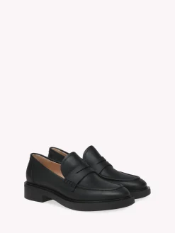 Flats-Gianvito Rossi HARRIS BLACK