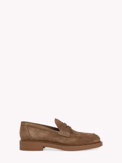 Casual-Gianvito Rossi HARRIS BROWN