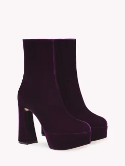 Booties-Gianvito Rossi HOLLY BOOTIE PURPLE