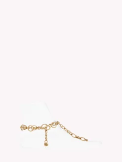 Accessories-Gianvito Rossi ITACA GOLD
