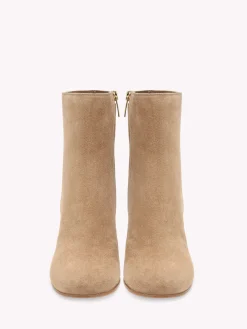 Booties-Gianvito Rossi JOELLE BROWN