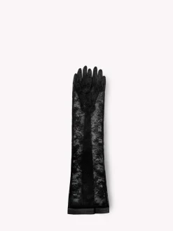 Accessories-Gianvito Rossi LACE GLOVES BLACK