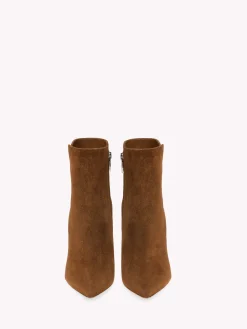 Booties-Gianvito Rossi LEVY 85 BROWN