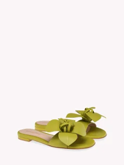 Flats-Gianvito Rossi LUCILLA 05 GREEN