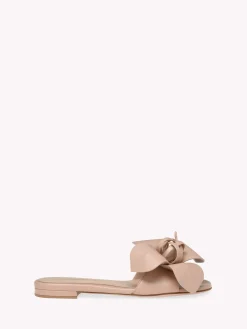 Flats-Gianvito Rossi LUCILLA 05 PINK