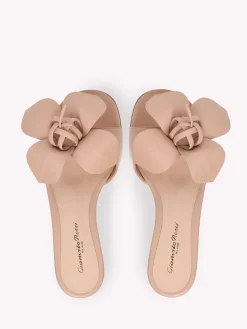Flats-Gianvito Rossi LUCILLA 05 PINK