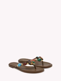 Flats-Gianvito Rossi SHANTI THONG 05 BROWN