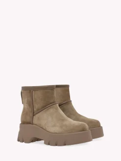 Booties-Gianvito Rossi STORMY BROWN