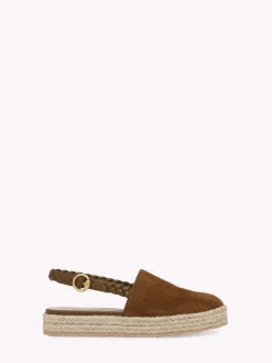 Flats-Gianvito Rossi TOLEDO DARK BROWN