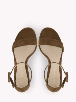 Sandals-Gianvito Rossi VERSILIA 60 BROWN