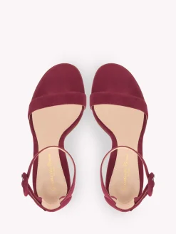 Sandals-Gianvito Rossi VERSILIA 85 RED