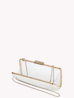 Bags|Plexi-Gianvito Rossi VETRA SILVER
